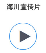 ��������Ƭ